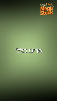פריט כללי