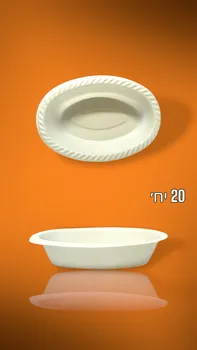 קסרול חד פעמי קשיח